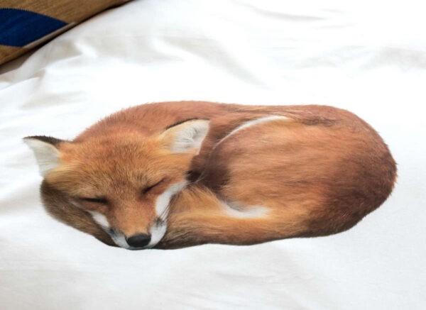 Snurk dekbedovertrek flanel Sleeping Fox
